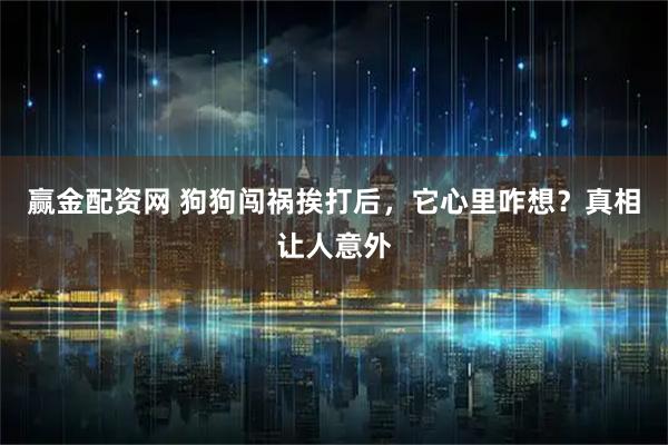 赢金配资网 狗狗闯祸挨打后，它心里咋想？真相让人意外