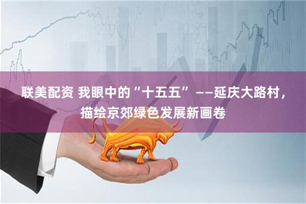 联美配资 我眼中的“十五五” ——延庆大路村，描绘京郊绿色发展新画卷