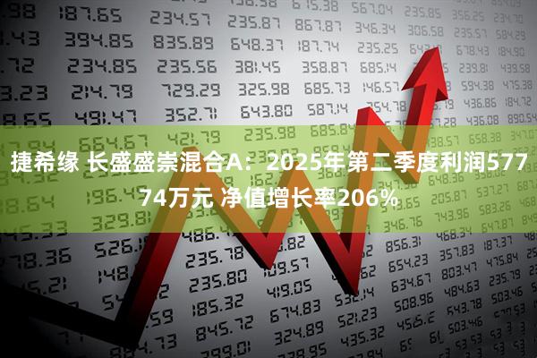 捷希缘 长盛盛崇混合A：2025年第二季度利润57774万元 净值增长率206%